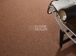 Bloq Tradition Tradition 930 фото 2 | FLOORDEALER
